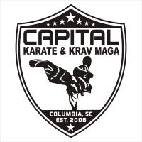 Capital Karate image 6